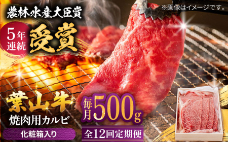 【全12回定期便】 葉山牛 カルビ500g／ カルビ[ASAP040]