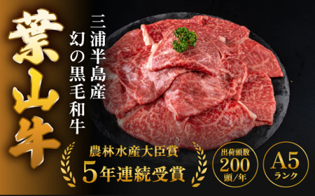 【全3回定期便】 葉山牛 カルビ1Kg／ カルビ[ASAP041]