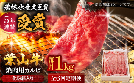【全6回定期便】 葉山牛 カルビ1Kg／ カルビ[ASAP042]