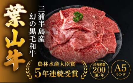 【全12回定期便】 葉山牛 カルビ1Kg／ カルビ[ASAP043]