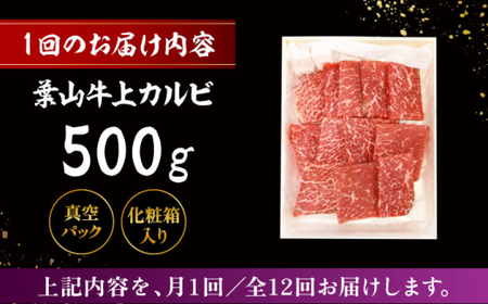 【全12回定期便】 葉山牛 上カルビ500g／ カルビ 上カルビ[ASAP046]