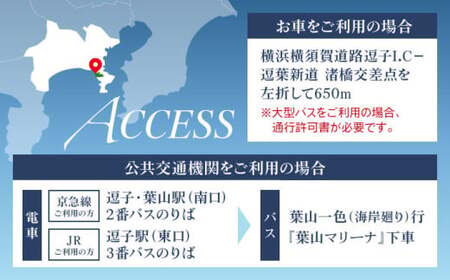 年間艇置料利用券 30万円分／ 艇庫 【(株)葉山マリーナー】[ASAV003]