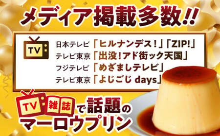 カスタードプリンのセット ふた付き ／ プリン【年内発送】[ASAY002]