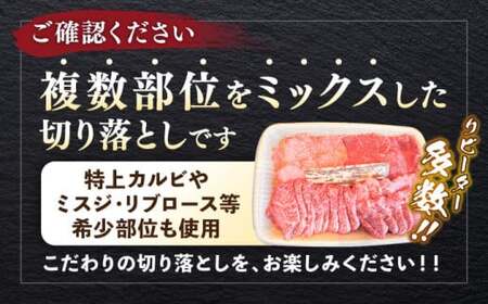 葉山牛 焼肉用ミックス 750g ／ 焼肉  [ASBD002]