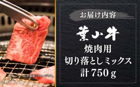 葉山牛 焼肉用ミックス 750g ／ 焼肉  [ASBD002]