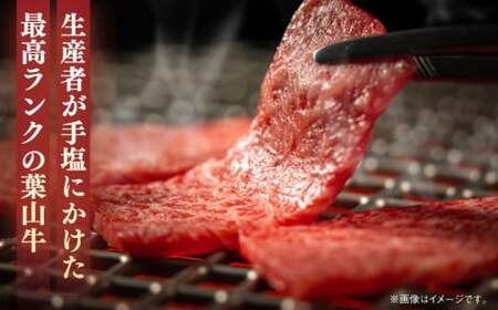 葉山牛 500g　ロース焼肉用／ 焼肉 焼き肉[ASBD004]