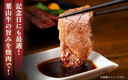 葉山牛 500g　ロース焼肉用／ 焼肉 焼き肉[ASBD004]