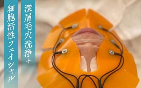 エステ フェイシャル＆ハンドマッサージコース エステ[ASBN001]