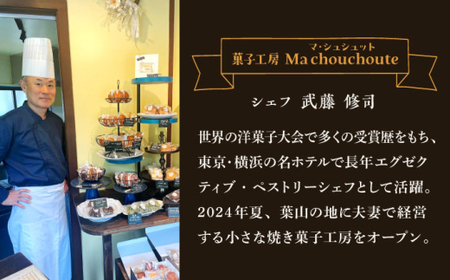 【全3回定期便】クッキー＆焼き菓子詰め合わせBOX M／ クッキー [ASBU012]