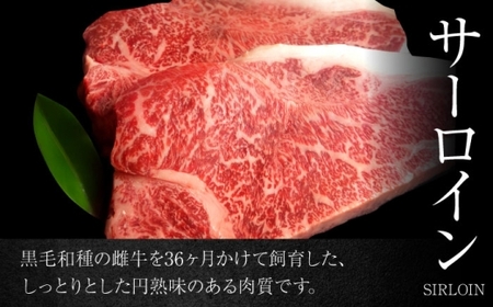 【年内発送】葉山クィーンビーフ サーロイン 250gx2 ／ サーロイン [ASCD009]