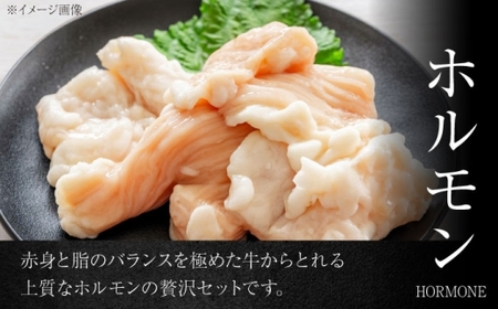 【年内発送】葉山石井牛ホルモン味噌味、ネギ塩味 各300g  ／ ホルモン [ASCD013]