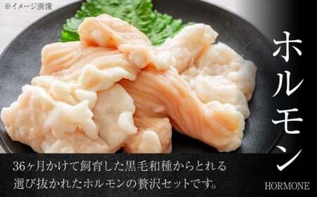 【年内発送】葉山クィーンビーフ味噌味、ネギ塩味 各300g  ／ ホルモン [ASCD014]