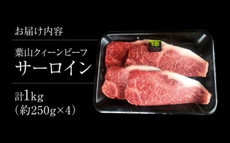 【年内発送】葉山クィーンビーフ サーロイン 250gx4／ サーロイン [ASCD018]