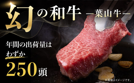【全3回定期便】【葉山牛】500g　焼肉用ミックス（ロース、モモ、カルビ等） ／ 牛肉 黒毛和牛 神奈川県 特産品【葉山牛ステーキレストラン 角車】[ASBD028]