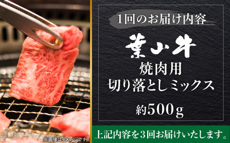 【全3回定期便】【葉山牛】500g　焼肉用ミックス（ロース、モモ、カルビ等） ／ 牛肉 黒毛和牛 神奈川県 特産品【葉山牛ステーキレストラン 角車】[ASBD028]