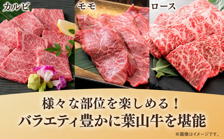 【全6回定期便】【葉山牛】1kg　焼肉用ミックス（ロース、モモ、カルビ等 4種類 ) ／ 牛肉 黒毛和牛 神奈川県 特産品【葉山牛ステーキレストラン 角車】[ASBD035]