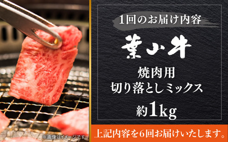 【全6回定期便】【葉山牛】1kg　焼肉用ミックス（ロース、モモ、カルビ等 4種類 ) ／ 牛肉 黒毛和牛 神奈川県 特産品【葉山牛ステーキレストラン 角車】[ASBD035]