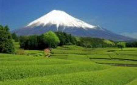 お茶 受賞茶園の銘茶詰合せ 茶 緑茶 知覧茶 茶葉 静岡 鹿児島 ギフト 包装 