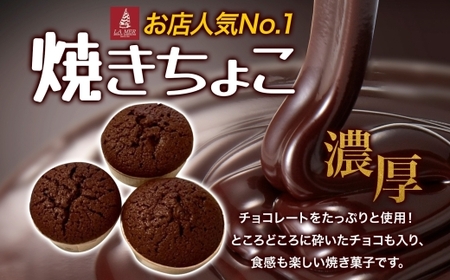 寒川町特産品 焼きちょこ 20個入り しっとり 濃厚 チョコレート 焼き
