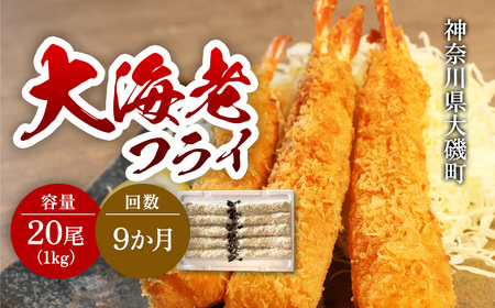 【定期便9か月】大海老フライ20尾 約1kg | エビフライ 冷凍 冷凍食品 神奈川県 大磯町