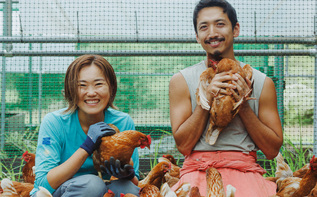 【定期便6ヶ月】 湘南大磯産平飼い鶏卵 60個＜2024年12月1日出荷開始　6ヶ月連続でお届け＞【 たまご 神奈川県 大磯町 】