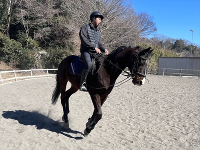 気軽に楽しむ!乗馬体験20分【 体験 レッスン 神奈川県 大磯町 】