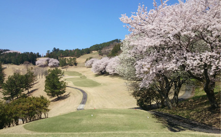 太平洋クラブ相模コース】ゴルフ場利用券30,000円分（5,000円券×6枚