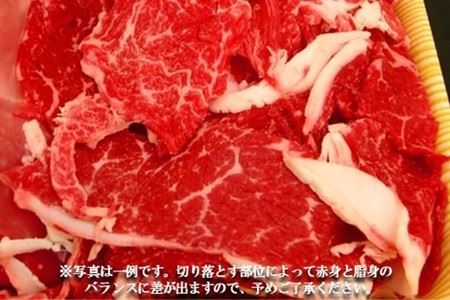 足柄牛【焼肉・しゃぶしゃぶ用】切り落とし500ｇ