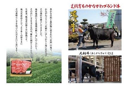 足柄牛【焼肉・しゃぶしゃぶ用】切り落とし500ｇ