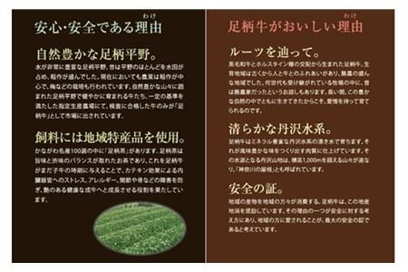 足柄牛【焼肉・しゃぶしゃぶ用】切り落とし500ｇ