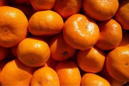 『松田ブランド』数量限定！おひるねみかんジュース180ml　15本