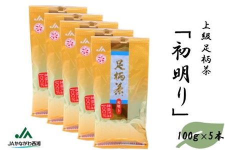 足柄茶【上級】初明り500ｇ（100ｇ×5本）