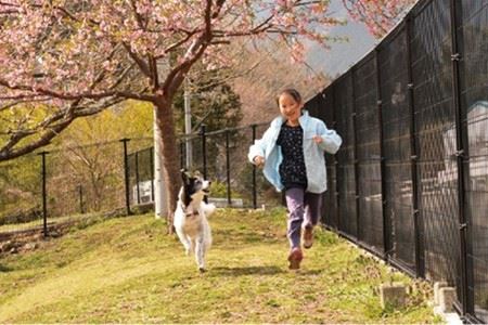 【寄七つ星ドッグラン＆カフェ】入園券10枚セット