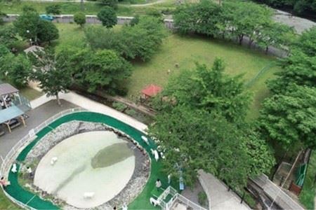 『松田ブランド』愛犬が喜ぶ やどりき森のおにく 無添加(200g×3袋)