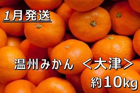 【1月中発送】【JAかながわ西湘】濃厚な甘さが自慢の「温州みかん（大津）」10kg | みかん 温州みかん ミカン みかん ミカン みかん