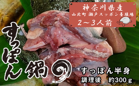 神奈川県産すっぽん鍋（２～３人前 約300ｇ）【 すっぽん 鍋 国産 肉