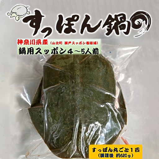 神奈川県産すっぽん鍋（4～5人前　約620ｇ）【 すっぽん 鍋 国産 肉 神奈川県 山北町 】