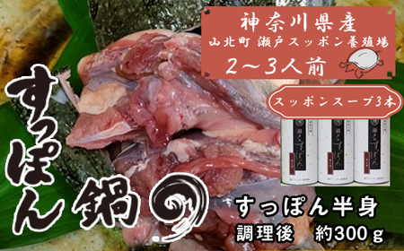 神奈川県産すっぽん鍋（２～３人前　約300ｇ）+すっぽんスープ３本 【 すっぽん 鍋 スープ 国産 肉 神奈川県 山北町 】