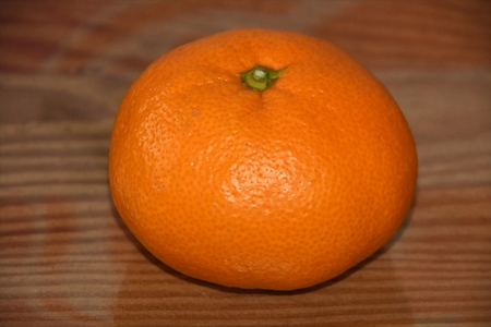 神奈川県産大津みかん10ｋｇ〈出荷時期：2025年12月10日出荷開始～2025年１2月29日出荷終了〉【 みかん 神奈川県 山北町 】