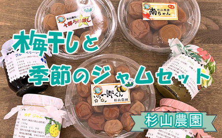杉山農園 Ｄ 梅干しと季節のジャムセット【 梅干し 国産 塩だけ 酸っぱい ジャム 無添加 フルーツ 果物 詰め合わせ 食べ比べ 神奈川県 山北町 】