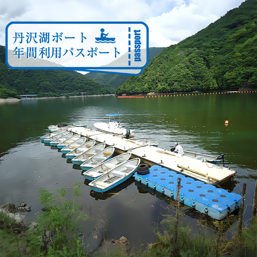 丹沢湖ボート年間利用パスポート【 体験チケット 利用チケット アウトドア 神奈川県 山北町 丹沢湖 】
