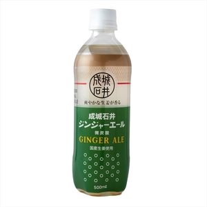 成城石井 ジンジャーエール 500ml×24本