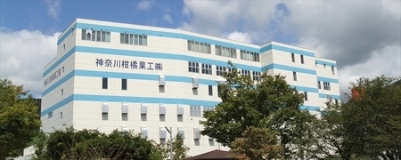 【定期便12ヶ月】Justice エネルギーマルチビタミンゼリーグレープフルーツ風味180g×30袋入り【 ゼリー飲料 ビタミン 栄養 非常食 防災 グレープフルーツ 神奈川県 山北町 】