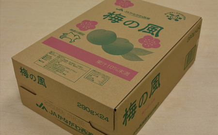 梅の風（清涼飲料水）　290ml×24本入り【 神奈川県 山北町 】