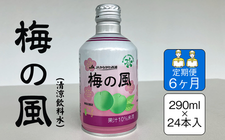 【定期便6ヶ月】梅の風（清涼飲料水）　290ml×24本入り【 神奈川県 山北町 】