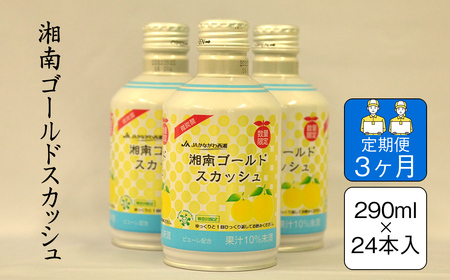【定期便3ヶ月】湘南ゴールドスカッシュ　290ml×24本入り【 神奈川県 山北町 】