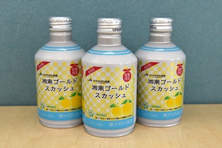【定期便3ヶ月】湘南ゴールドスカッシュ　290ml×24本入り【 神奈川県 山北町 】