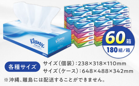 ティッシュ1枚 楽天市場】【ふるさと納税】ランキング1位獲得! _クラリス