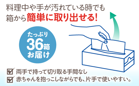 【年内発送】スコッティ キッチンタオルボックス 36箱 キッチンペーパー  [BDBH003-1]