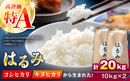 先行予約】【特Aランク受賞実績あり！】はるみ 20kg(10kg×2袋